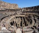 Roma veya Roma Kolezyum, bu gladyatör dövüşleri bir site olarak büyük amfitiyatro yılında Kolezyum